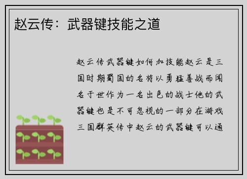 赵云传：武器键技能之道
